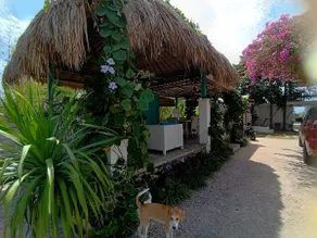 Surf Bungalow, Bali - Image 2