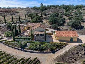 Italian Villa w/Vineyard Views*DOG*FRIENDLY - Image 5
