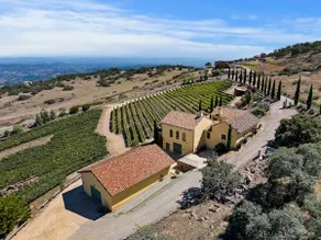 Italian Villa w/Vineyard Views*DOG*FRIENDLY - Image 2