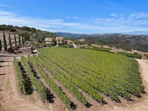 Italian Villa w/Vineyard Views*DOG*FRIENDLY - Image 3
