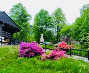Chalet Monterosa in Northern Italy - Image 2