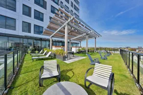 Central Square Upscale Penthouse near MIT/Harvard - Image 5