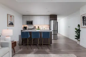 Central Square Upscale Penthouse near MIT/Harvard - Image 3