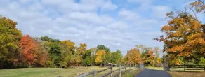 18 Acre Farm - Pickleball, Pond, Outdoor Kitchen - Image 5