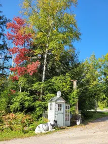 Guesthouse on 120 acres w/pond - Image 4