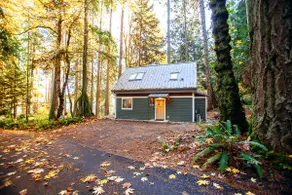 Enchanted Forest Cottage - Image 2