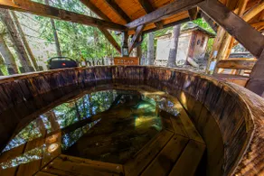 Forest Home Relax - Image 5
