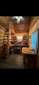 Tiny cabin in the woods - Image 4