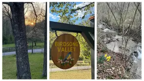 Birdsong Valley on Bourbon Trail - Image 4