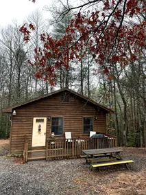 Private cozy cabin in the woods with great view - Image 4