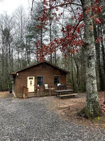 Private cozy cabin in the woods with great view - Image 3