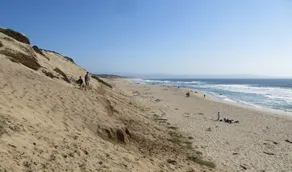 Perfect Retreat Minutes to Marina State Beach! - Image 5