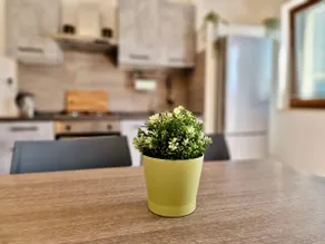 Renovated apartment - within walking distance of the center - Image 5