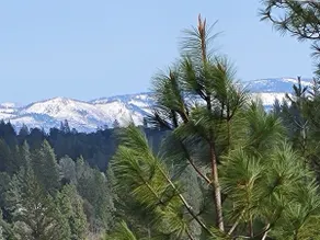 Relax Near Yosemite! Pine Mountain Lake Chalet - Image 3