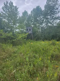 Deer Haven Cabin - Image 4
