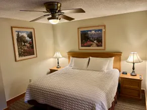 Base Area with King Bed, Outdoor Hot Tub + Pool - Image 2