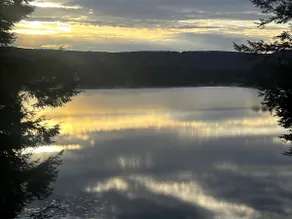 Over the River and Through the Woods - Image 3