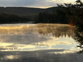 Over the River and Through the Woods - Image 4