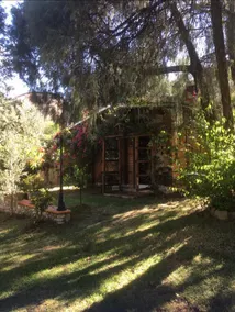 “Los arbolitos” Cabin - Image 2