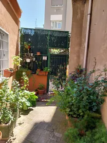Marimar's Garden - Image 4