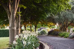 Yarra Valley - Castella - Image 2