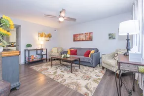 Downtown Dwelling - Image 2