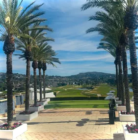 Beach, Golf, & Sun Await+ No added cleaning fees! - Image 4