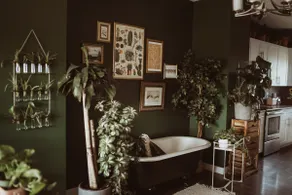 Urban Jungle Hideaway - Image 5