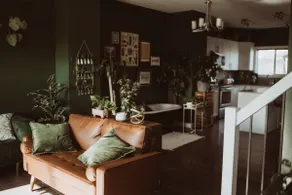 Urban Jungle Hideaway - Image 2