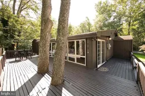 The Tree House on the River- sleeps 4, dog allowed - Image 5