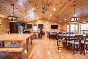LOG CABIN 7BR 4BA LAKEFRONT 100 \"SALLE DE THEATRE BAIGNOIRE PISCINE TABLE POMME DE FEU PACK POKER - Image 2