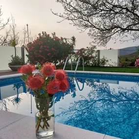Private 5 bedroom villa, Vacation, Swimming pool Águeda, Aveiro - Image 3
