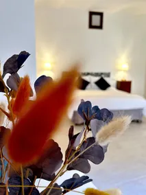 Aria Suite with chromotherapy for couples - Image 2