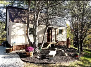 Bearadise Bungalow - Image 2