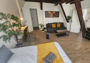 Etape Tourangelle - Large Studio in the Heart of the City - Image 5