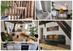 Etape Tourangelle - Large Studio in the Heart of the City - Image 4