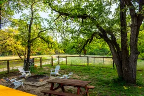 The Cactus House | Fenced Yard + Dogs Stay Free - Image 4