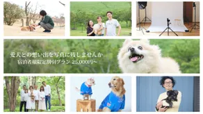 Natural Hot Springs 10 minutes from Izu-Kogen Station/Cedar Retreat House/Pets, BBQ, WiFi - Image 5