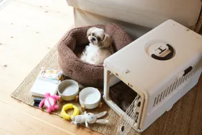 Natural Hot Springs 10 minutes from Izu-Kogen Station/Cedar Retreat House/Pets, BBQ, WiFi - Image 2