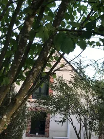 Gîte: Small country house with garden - Image 3