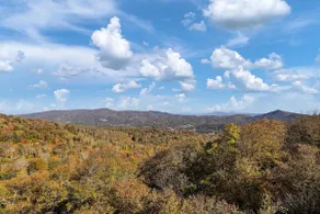 Cooper's View - Image 3