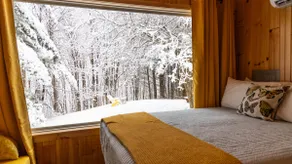 Remote Ridge Cabin & Hiking! - Image 2