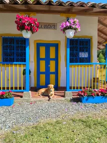 Cabin with private bathroom in Salento - Image 5