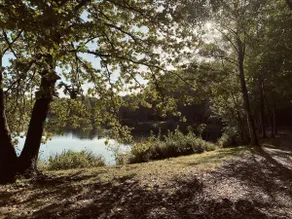 De Swaen - Image 3