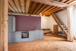 Salzstadl - Historic loft with private garden - Image 3