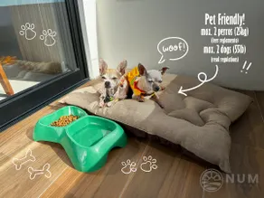 Pet-friendly PH near the beach - Image 3