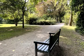 Oasis between the metropolises - Image 4