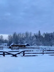 Alaskan Stable View Cottage #A: Gold Dream Inn - Image 3