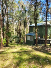 Bellbird Cabin - Image 3