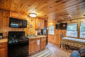 The Fox Hollow Retreat: Nature Escape | PemiCabins - Image 2